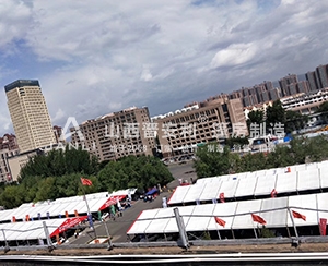 呼和浩特市第二屆惠民團(tuán)車節(jié)