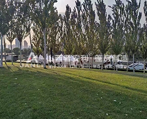 太原國(guó)際馬拉松