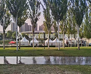 太原國(guó)際馬拉松